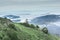 San Francisco Bay from Mount Tamalpais East Peak.