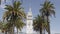 SAN FRANCISCO, CA, USA- FEBRUARY, 17, 2020: clock tower of the ferry building in san francisco