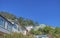 San Francisco California houses amid trees with clear blue sky background