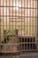 San Francisco, California, United States - April 30, 2017: Prisoner`s cell of Alcatraz prison in Alcatraz Island.