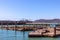San Francisco - California, USA. October 27, 2019: Californian sea lions sunbathe on Pier 39. Famous tourist attraction