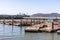 San Francisco - California, USA. October 27, 2019: Californian sea lions sunbathe on Pier 39.  Famous tourist attraction in San