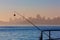 San francisco fog skyline with fishing rod in the mist California