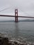 San Francisco Golden Gate Bridge disappearing in the fog