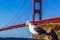 San Francisco Golden Gate Bridge seagull California