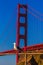 San Francisco Golden Gate Bridge seagull California