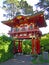 San Francisco, Japanese Tea Garden, Tea House, foliage, tree, maple, Golden Gate Park, green, nature, California, United States