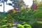 San Francisco, Japanese Tea Garden, Tea House, Treasure Tower Pagoda, Golden Gate Park, green, nature, California, United States