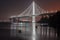 San Francisco-Oakland Bay Bridge Eastern Span at Night.