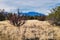 San Francisco Peaks near Flagstaff, Arizona from Antelope Hills