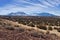 San Francisco Peaks near Flagstaff, Arizona from Antelope Hills