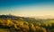 San Gimignano medieval town towers skyline and landscape. Tuscan