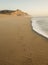 San Gregorio Beach with Bird Tracks