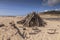 San Gregorio State Beach California