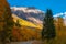 San Joaquin Ridge fall Colors Colorado Autumn Landscape