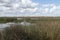 San Joaquin Wildlife Preserve California