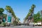 San Jose downtown skyline is seen from palm tree lined street