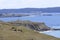 San Juan Island light house