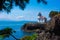 San Juan Lighthouse framed by trees