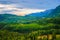 San Juan Mountain Valley Large Pine Forest Colorado