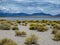 San Luis State Wildlife Area in Mosca, Colorado