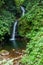 San Luis waterfall in a cloud forest of Reserva Biologica Bosque Nuboso Monteverde, Costa Ri