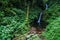 San Luis waterfall in a cloud forest of Reserva Biologica Bosque Nuboso Monteverde, Costa Ri