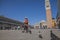 San Marco Square, Venice, Italy - walking pigeons.