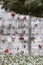 San Michele Cemetery, Venice, Italy