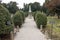 San Michele Cemetery, War graves, Venice, Italy