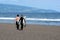 San Miguel, Portugal, June 2019. A man and a girl are skating on a surfboard. Beautiful beach of Praia do Areal de Santa Barbara,