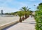 San Pedro del Pinatar palm trees lined promenade leading along sandy beach coastline of Mediterranean Sea