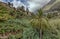 San Pedro Rocks - volcanic twin mountains, natural landmark of La Hermigua in La Gomera. Sunny day - typical rural area, banana