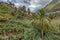 San Pedro Rocks - volcanic twin mountains, natural landmark of La Hermigua in La Gomera. Sunny day - typical rural area, banana