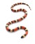 San Pueblan Milksnake