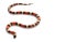 San Pueblan Milksnake