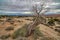 San Rafael Swell is a large geologic feature