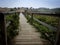 San Simeon boardwalk