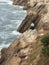 San Simeon Coastline Christmas Day - rock formation