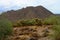 San Tan Mountains Sonora Desert Arizona