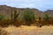 San Tan Mountains Sonora Desert Arizona