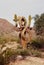 San Tan Mountains Sonora Desert Arizona On Film