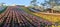 San-Tseng-Chi Urban Park on a bright sunny day with colorful flower fields on the hillside under blue clear sky during Flower