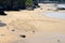 Sand art at Tolcarne Beach, Newquay