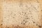 Sand backgrounds and texture