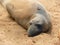 Sand bath seal style