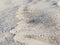 Sand on the beach with little depth of field. Picture taken on the beach of Benidorm, Spain