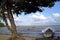 Sand beach and river landscape, Surinam