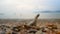 Sand beach with sea wave select focus shallow depth of field with summer atmosphere