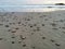 Sand on the Beach, shadows and sun light on sand, Wind pattern on sand rains at Beach